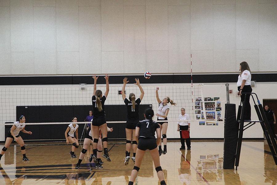 Volleyball competes in last regular game of the season tonight