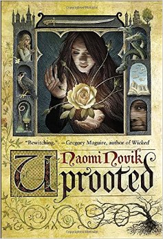 Uprooted by Naomi Novik is a fantasy novel that follows the characters in a mystical town called Dvernik.