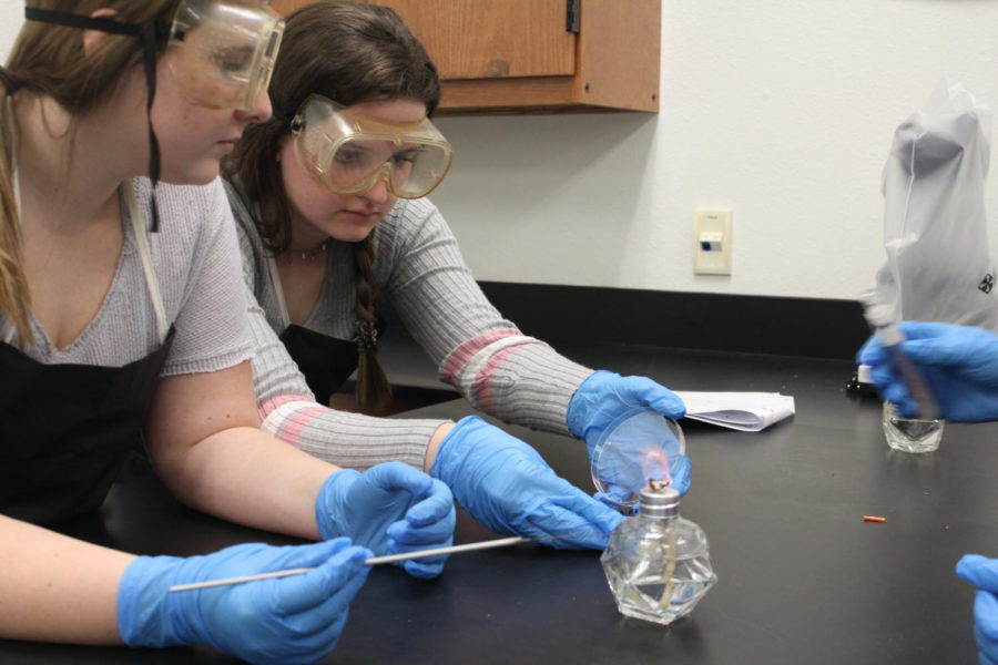 Sophomores Julia Hollar and Alyssa Mojica grow bacteria during Biomedical Science. Labs allow me to use my full potential because of what I have learned in this class,” Hollar said.