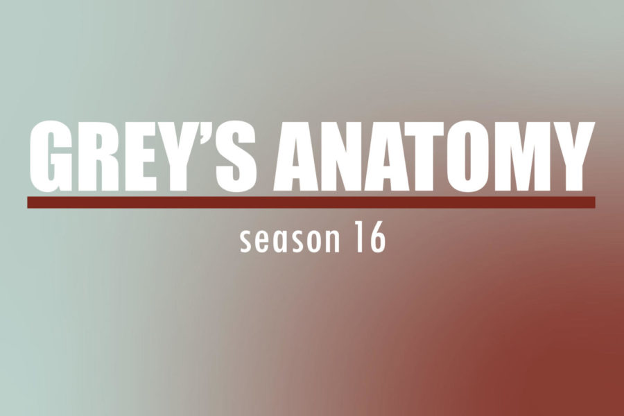 Greys+Anatomy+returns+for+16th+season