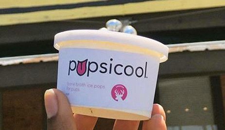 Nico Canosa 21 created a podcast and  is COO of a dog popsicle business. 