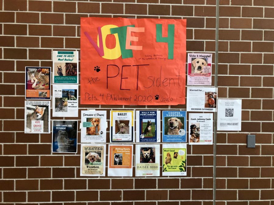 Student council hangs up candidacy posters promoting pet election and fundraiser 