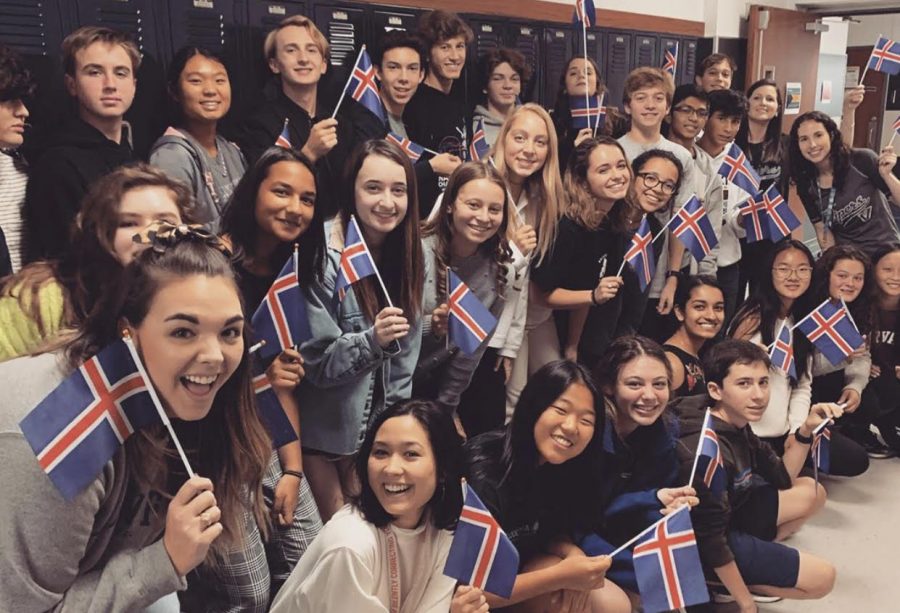 Students of Ms. Houstons travel group pose with Icelandic flags.