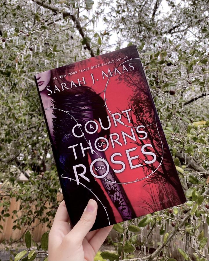 A Court of Thorns and Roses (Paperback)