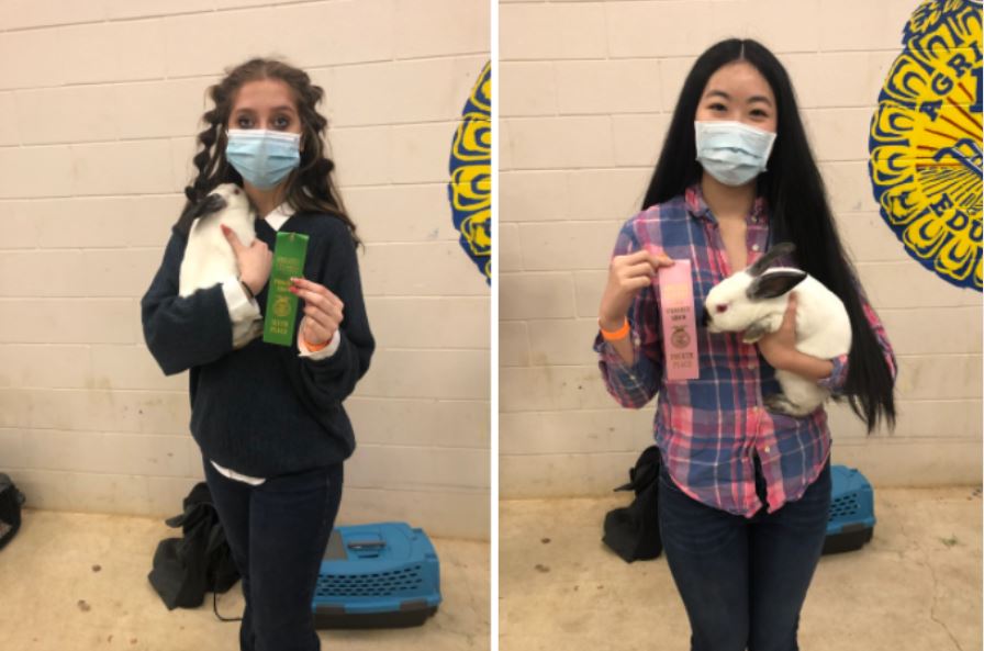 Lenora Vancini and Rachel Yang holding their rabbits and awards at the FFA show