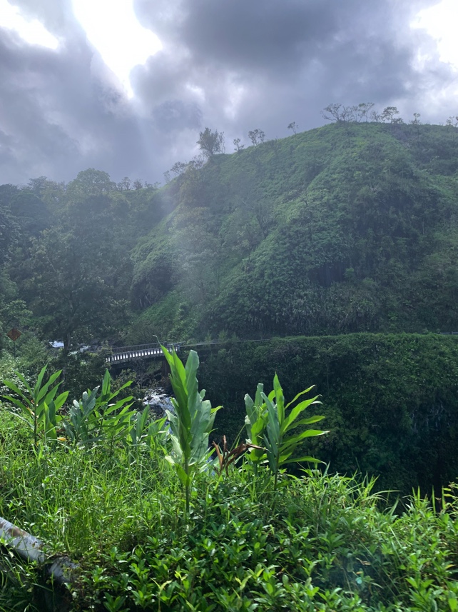 The Road to Hana landscape alongside a one lane bridge that everyone must cross to continue up the cliff.