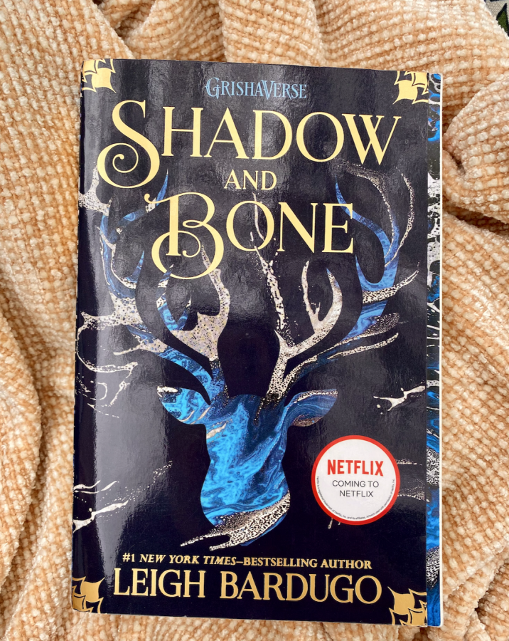 "Shadow and Bone" by Leigh Bardugo published in 2013