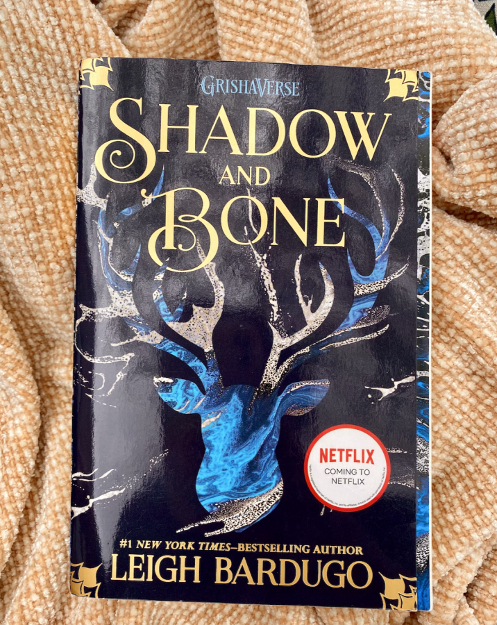 Shadow+and+Bone+by+Leigh+Bardugo+published+in+2013