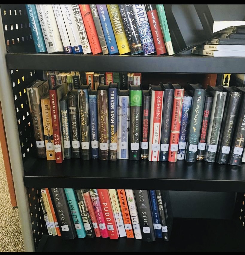 Some books available for students to read in VHSs library