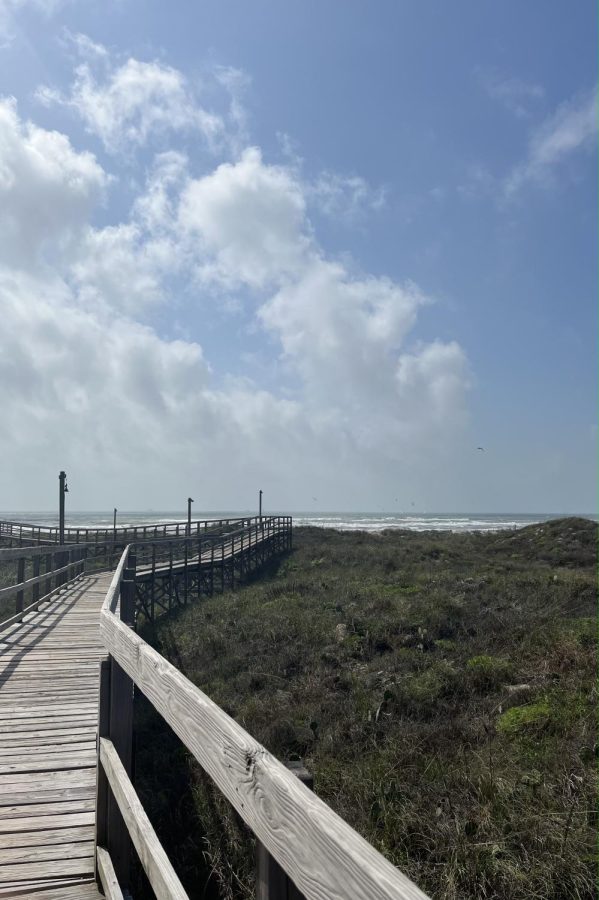 A view of the blue skies with some clouds on a walk down to beach