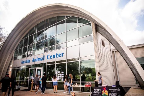 Austin Animal Center is located at 7201 Levander Loop, Austin, TX 78702. They are a municipal shelter for Austin and unincorporated Travis County. 