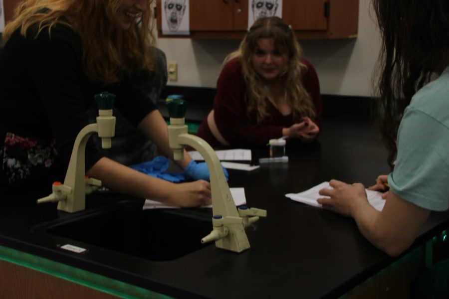 Ms. Leblanc teaches students about the procedure for the bacteria lab. 