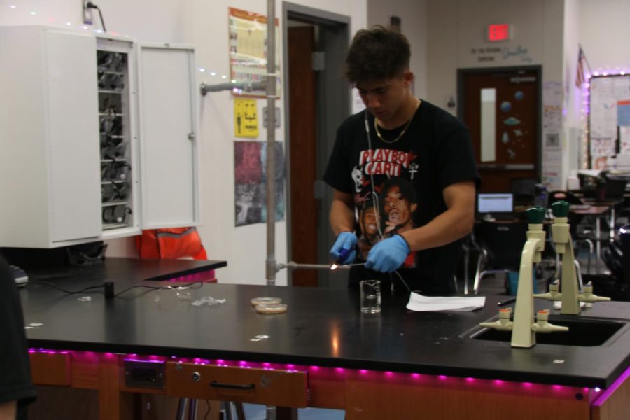 Student flames an inoculation tube for their bacteria. 