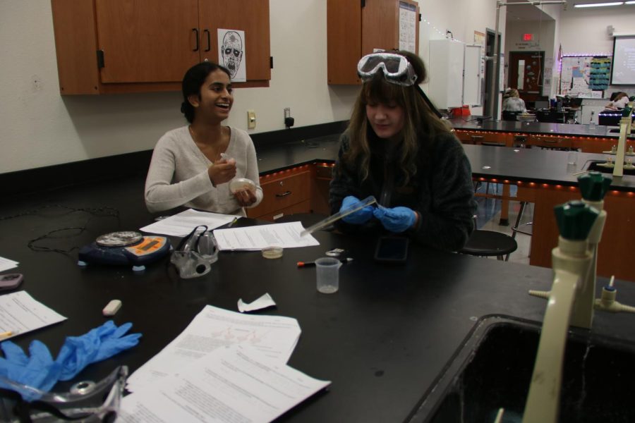 Students+prepare+to+transfer+bacteria+in+order+to+test+for+properties.+