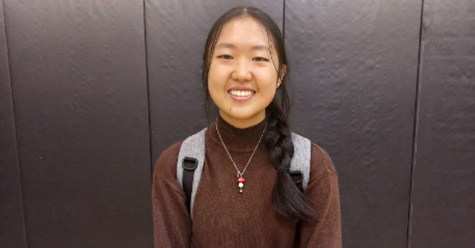 Students United club member junior Rebecca Tang says that the organization promotes STEAM and STEM at other schools.