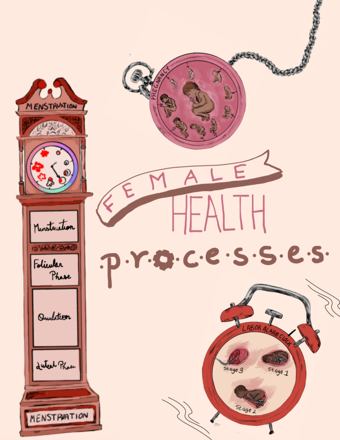 Female+Health