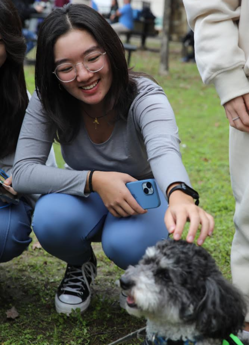 Student Council and the Counseling Team partner with Divine Canines to bring therapy dogs to the courtyard during PIT.