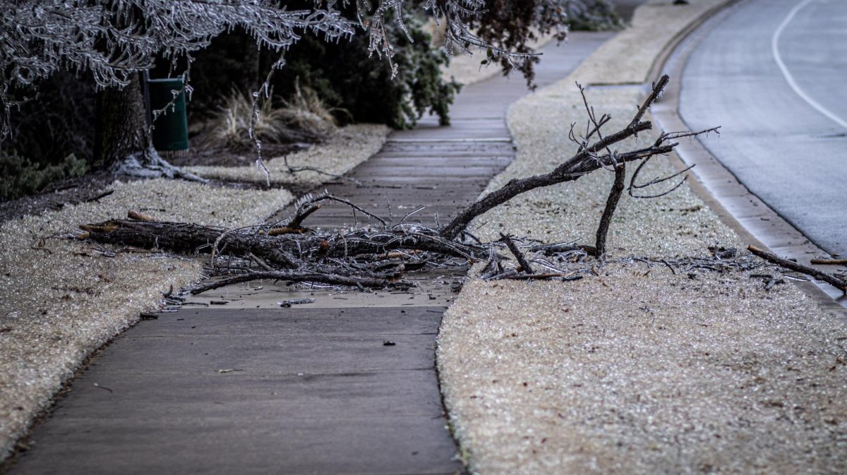 The twists and turns of Texas weather