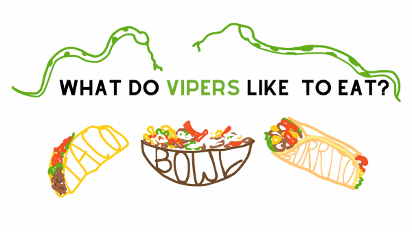 Navigation to Story: Bowl poll: Where do Vipers like to eat?