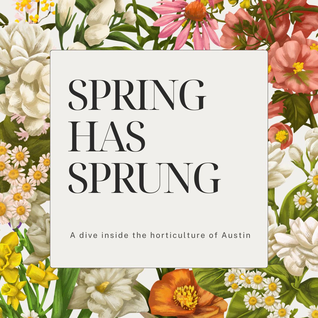 Spring has sprung: A dive into the horticulture of Austin