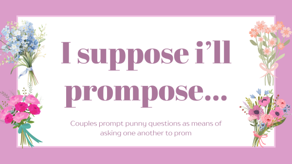 Navigation to Story: I suppose i’ll prompose…