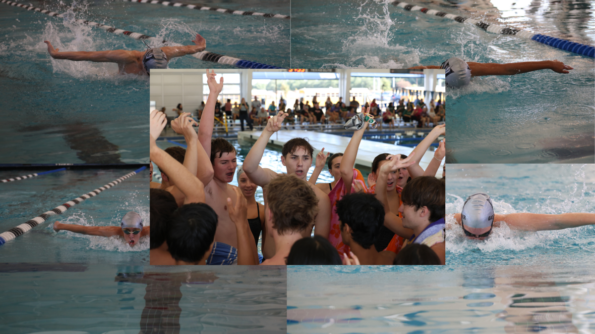 Leading the Lane: Meet the Swim Captains